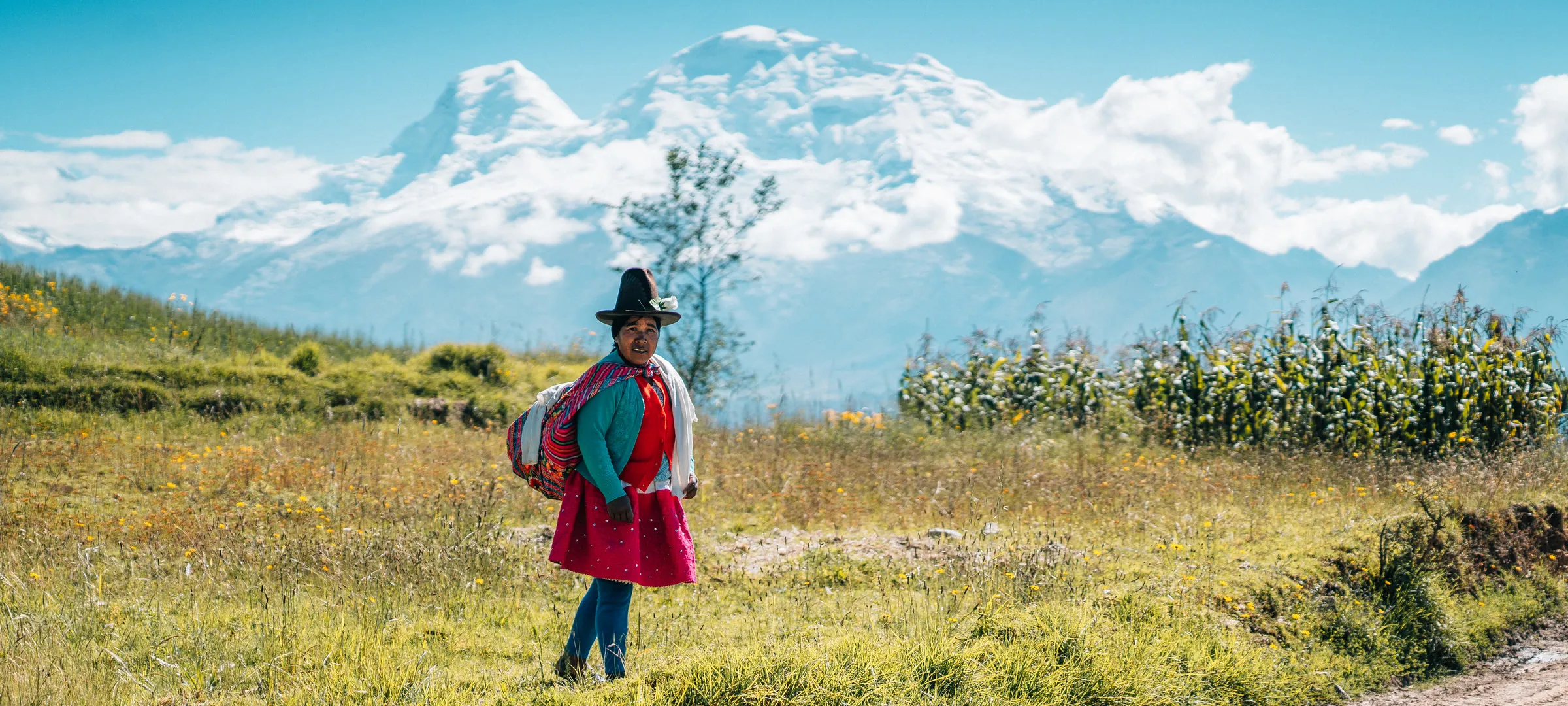 Persona en vestimenta tradicional en campo de flores