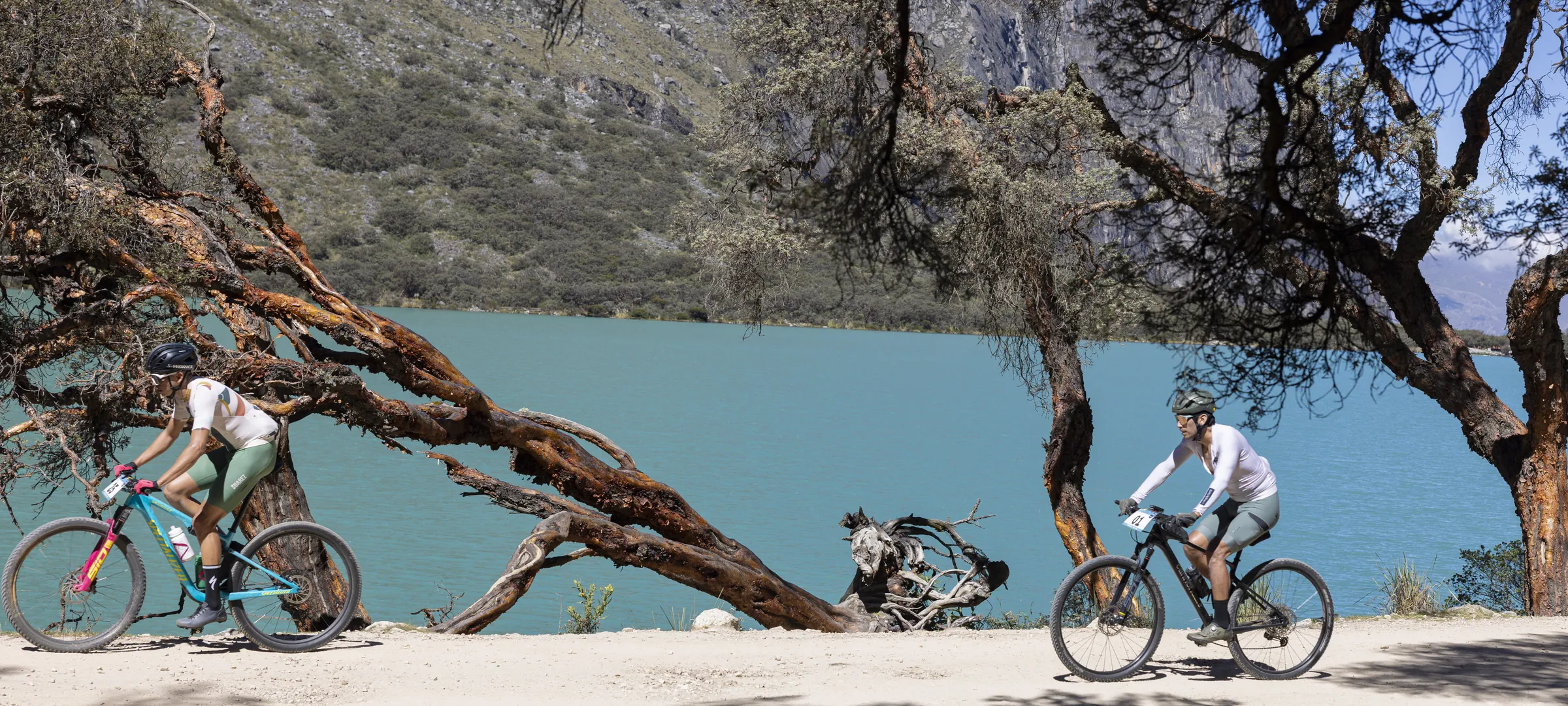 Ciclista junto al lago con árbol secular