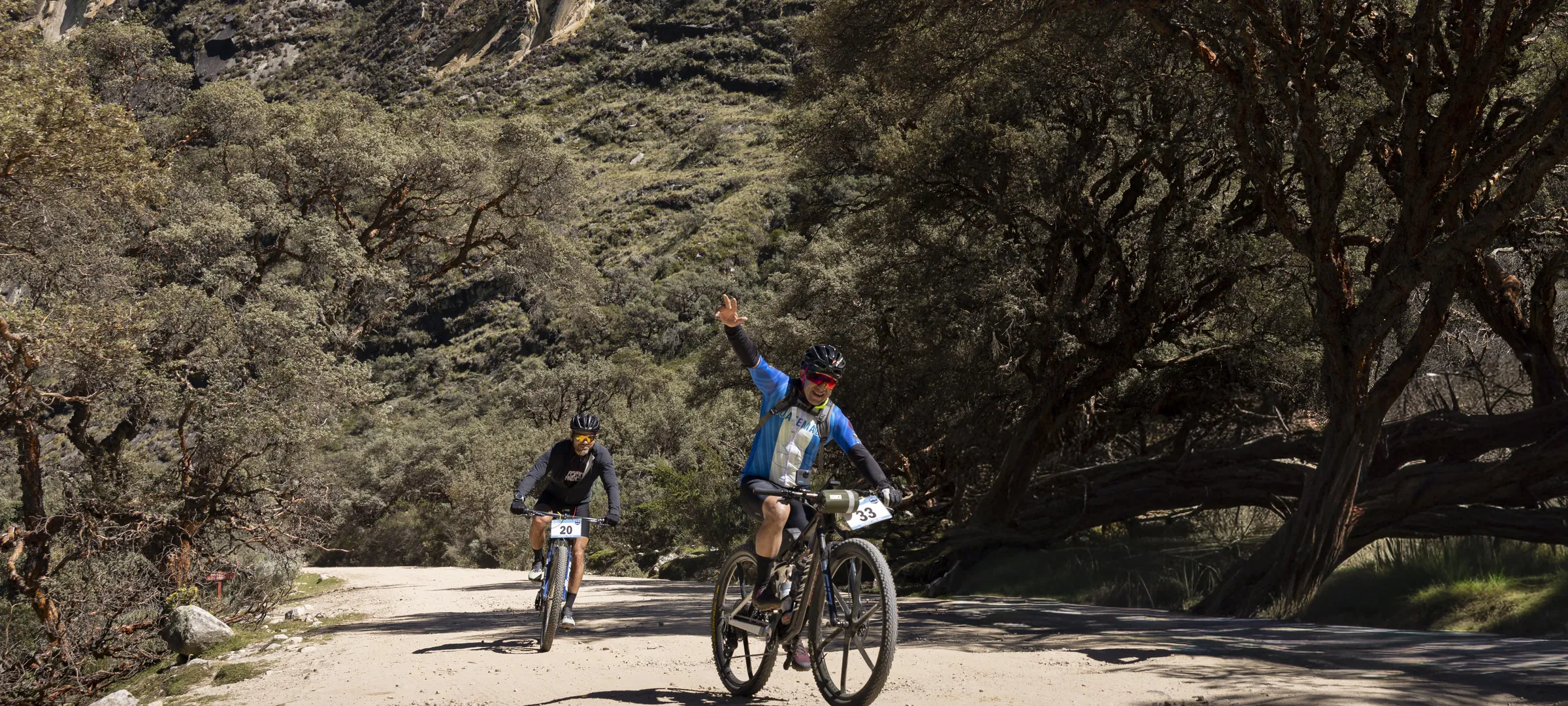 Ciclista en single track de bosque